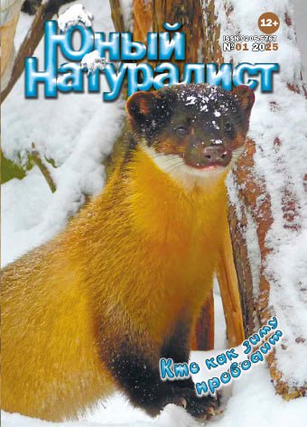 Картинка 4